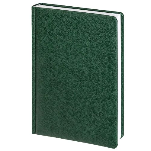 Ежедневник Sagrin, недатированный, зеленый 1