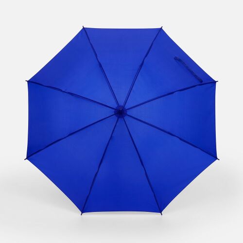 Зонт-трость Promo, синий 2