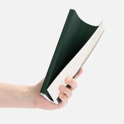 Ежедневник Flat Light ver.2, недатированный, зеленый 4