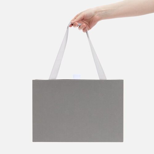 Коробка Regalis, серая 4