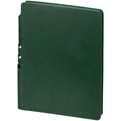 Ежедневник Flexpen Color, датированный, зеленый 1