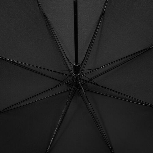 Зонт-трость Jolly Brolly, черный 1