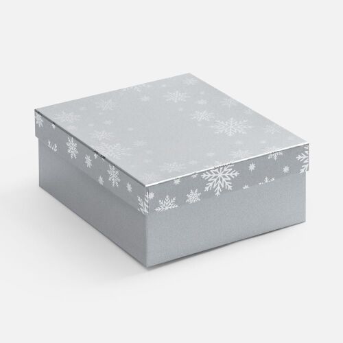 Коробка Wintry, серебристая 1