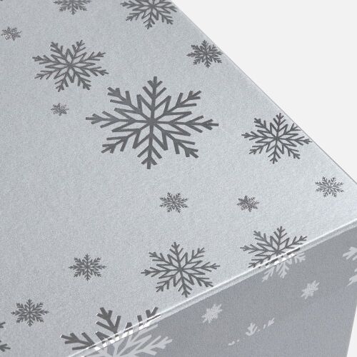 Коробка Wintry, серебристая 3