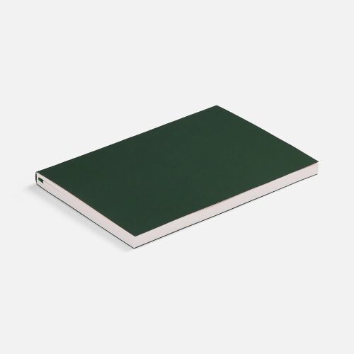 Ежедневник Flat Light ver.2, недатированный, зеленый 3