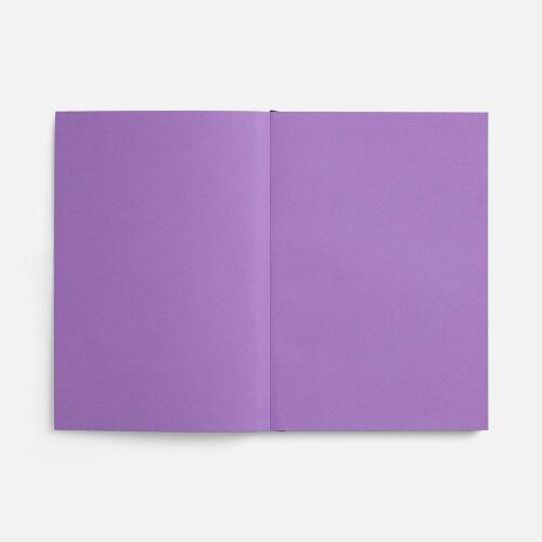 Ежедневник Flat, недатированный, фиолетовый, ver.2 7