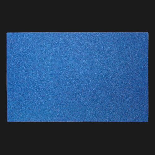 Лейбл светоотражающий Tao, XL, синий 3