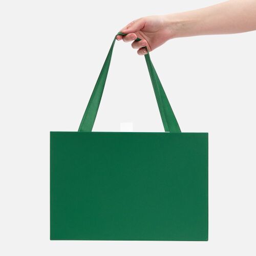 Коробка Regalis, зеленая 4