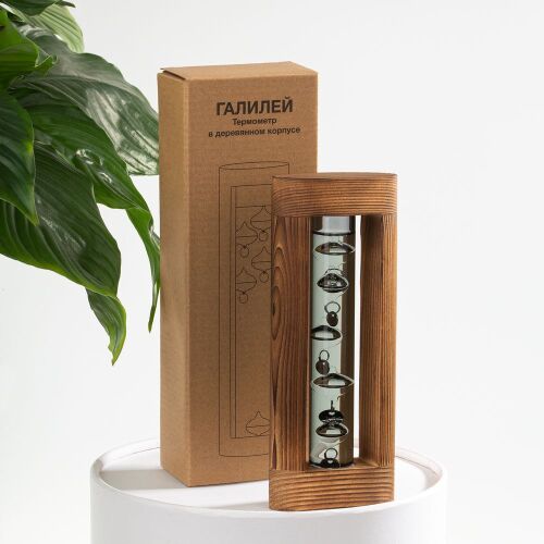 Термометр «Галилей» в деревянном корпусе, серый 6
