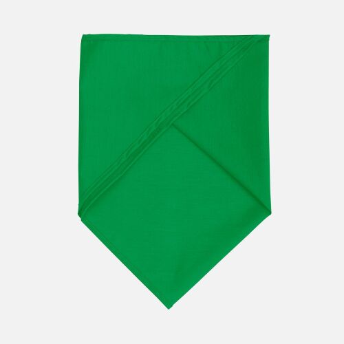 Шейный платок Bandana, ярко-зеленый 2