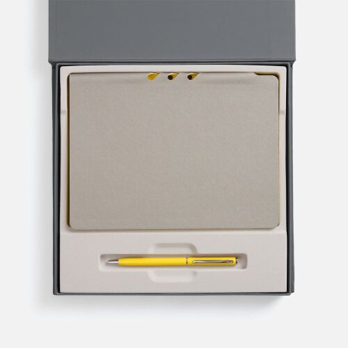 Набор Flexpen Grey, желтый 2 Набор Flexpen Grey, желтый 2