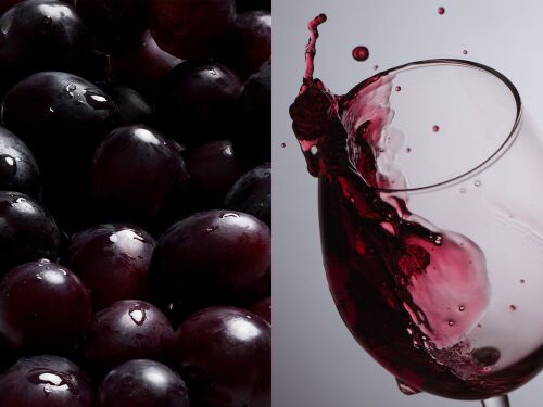 Бокал для вина «Энотека» 4