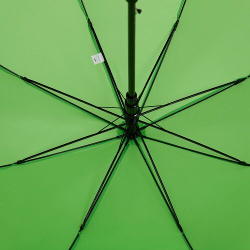 Зонт-трость Standard, зеленое яблоко 3
