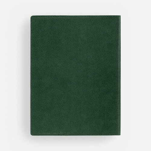 Ежедневник в суперобложке Brave Book, недатированный, зеленый 3