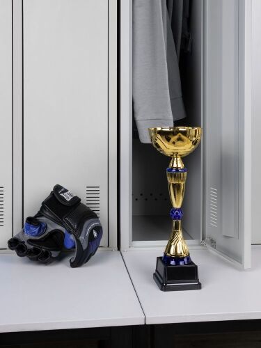 Кубок Awardee, средний, синий 5