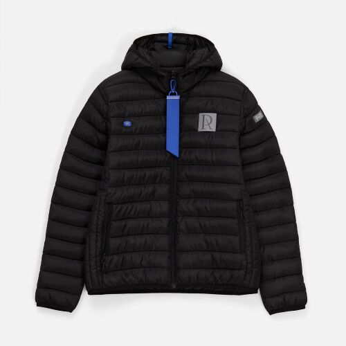 Шильдик металлический Alfa Oval, синий 6