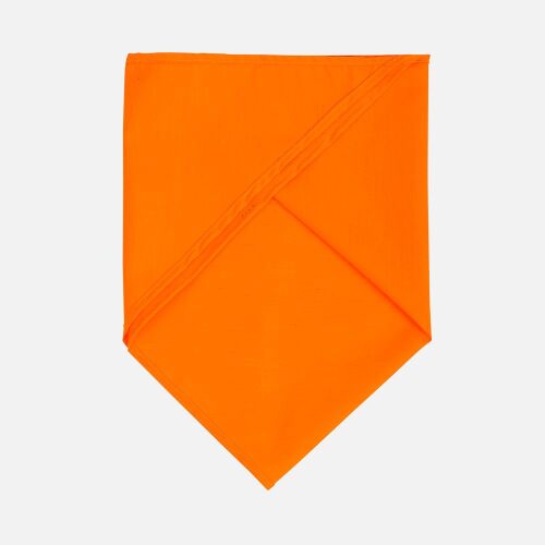 Шейный платок Bandana, оранжевый 2