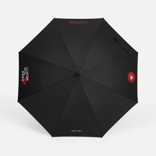 Зонт-трость Rainzee, черный 6