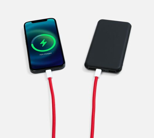 Кабель-ланьярд energyFlex Pro, красный 4