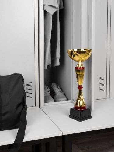 Кубок Awardee, большой, красный 5
