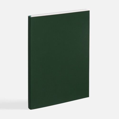 Ежедневник Flat Light ver.2, недатированный, зеленый 2
