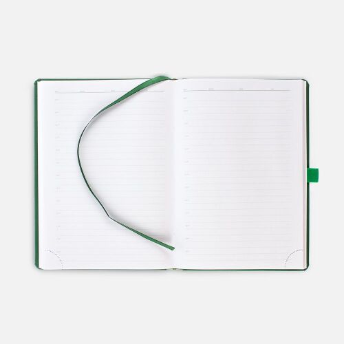 Ежедневник Favor Gold, недатированный, ярко-зеленый 5