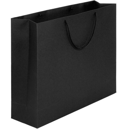 Пакет бумажный Ample Tote L, черный 1