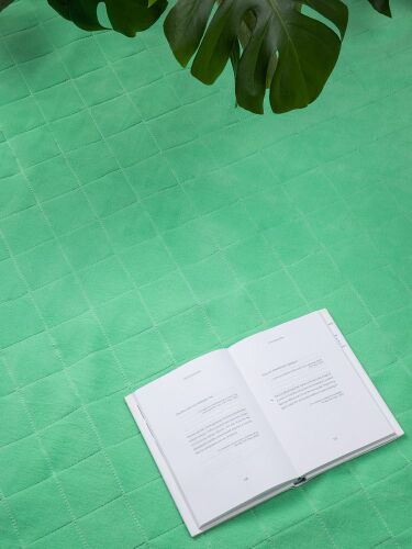 Плед для пикника Soft & Dry 2, светло-зеленый 6