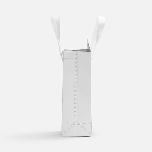 Термосумка для напитков «Термобэг» на заказ, XS 4