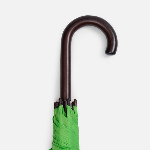 Зонт-трость Standard, зеленое яблоко 1