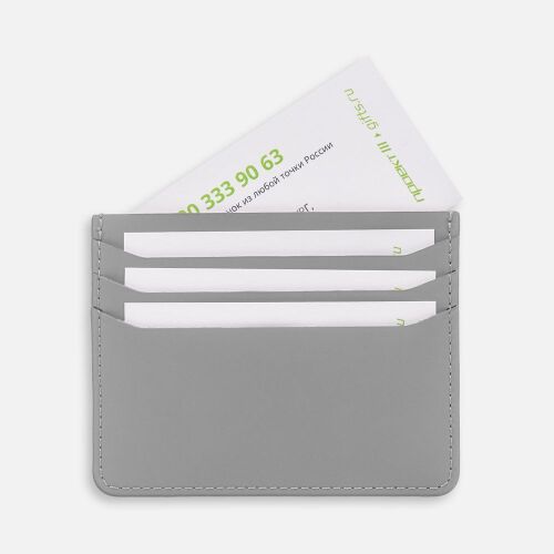 Чехол для карт Alaska, серый 3