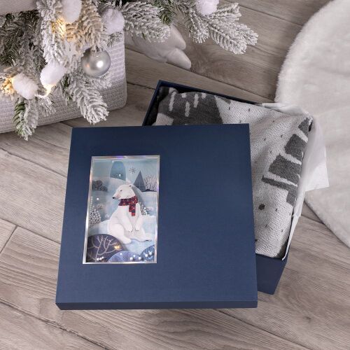 Коробка The Blue Bear, M 2