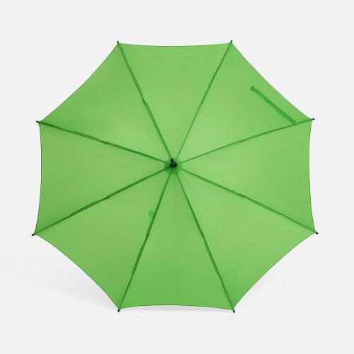 Зонт-трость Standard, зеленое яблоко 2