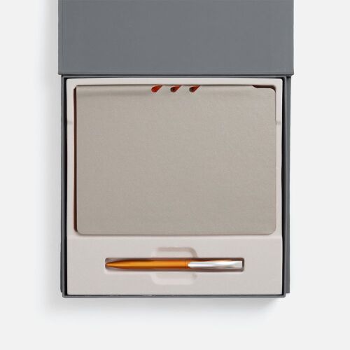 Набор Flexpen Grey, оранжевый 2 Набор Flexpen Grey, оранжевый 2