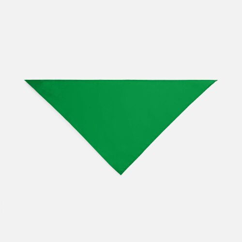 Шейный платок Bandana, ярко-зеленый 3