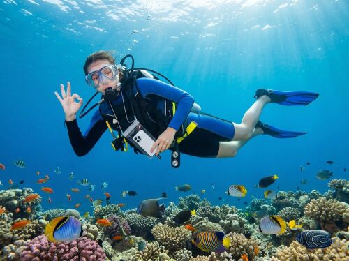Водонепроницаемый чехол для телефона Aqualock, серый 6