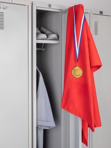 Медаль Regalia, большая, золотистая 6 Медаль Regalia, большая, золотистая 6