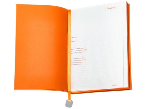 Ежедневник недатированный А5 «Mercury» 3