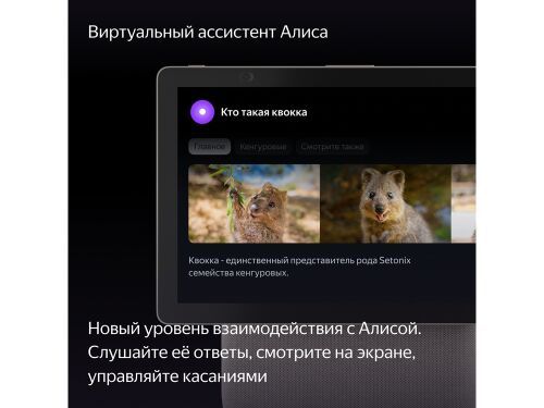 Умная колонка ЯНДЕКС Станция Дуо Макс с Алисой, с Zigbee, 60 Вт 13