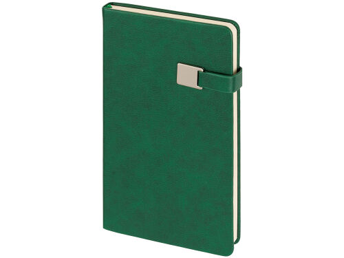 Ежедневник недатированный А5 «Premier» 3