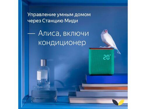 Умная колонка ЯНДЕКС Станция Миди с Алисой, с Zigbee, 24 Вт 16