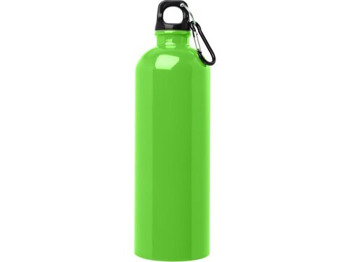 Одностенная бутылка для воды с карабином «Oregon», 750 мл 2