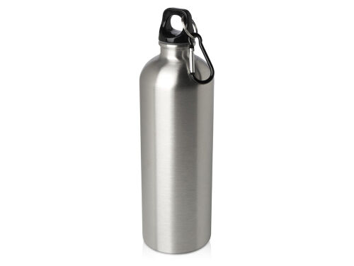 Одностенная бутылка для воды с карабином «Oregon», 750 мл