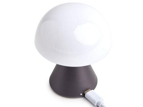 Лампа интерьерная Mina 3