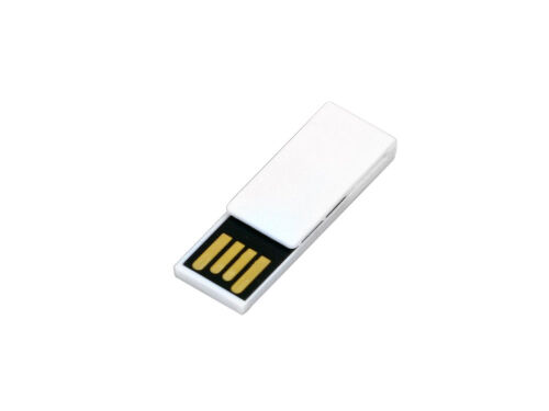 USB 2.0- флешка промо на 8 Гб в виде скрепки 3