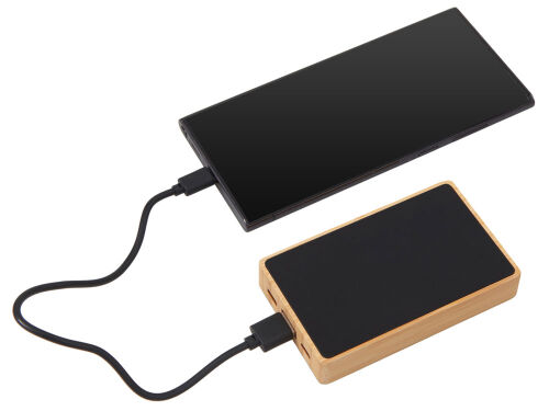 Внешний аккумулятор с подсветкой лого «Reedia S2», 5000 mAh 2 Внешний аккумулятор с подсветкой лого «Reedia S2», 5000 mAh 2