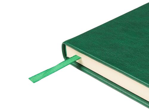 Ежедневник недатированный А5 «Premier» 6