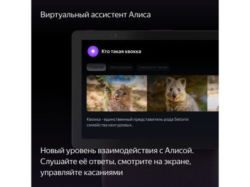Умная колонка ЯНДЕКС Станция Дуо Макс с Алисой, с Zigbee, 60 Вт 13