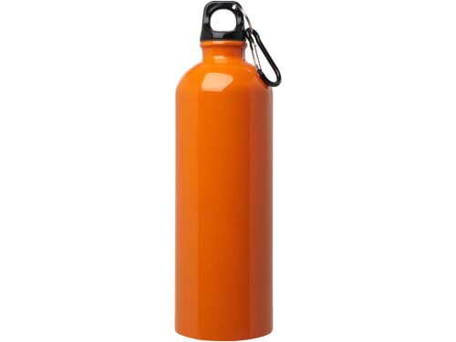 Одностенная бутылка для воды с карабином «Oregon», 750 мл 2