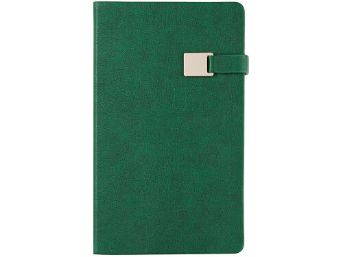 Ежедневник недатированный А5 «Premier» 4